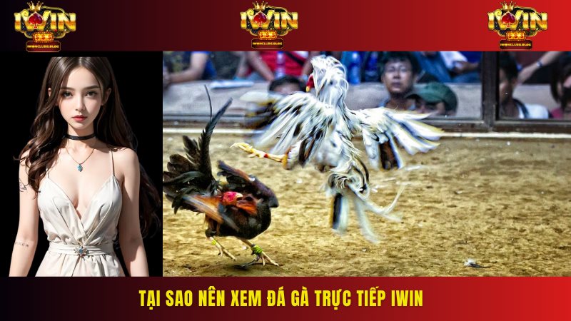 Bảng kèo chuyên nghiệp với tỷ lệ hấp dẫn bậc nhất thị trường