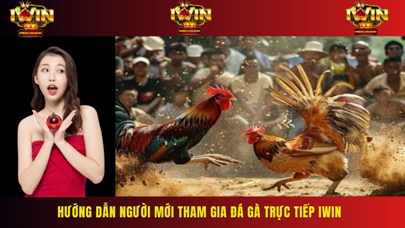 Các bước giúp người chơi theo dõi đá gà trực tiếp IWIN