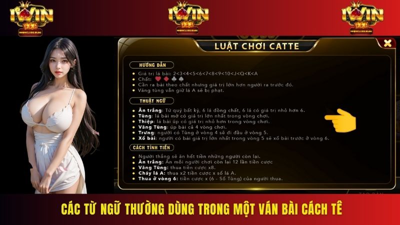 Các từ ngữ thường dùng trong một ván bài cách tê
