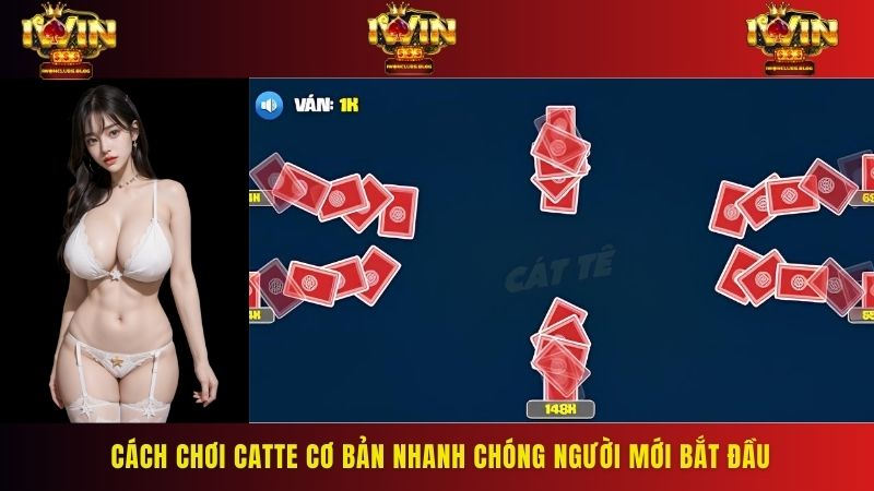 Cách chơi Catte cơ bản nhanh chóng người mới bắt đầu