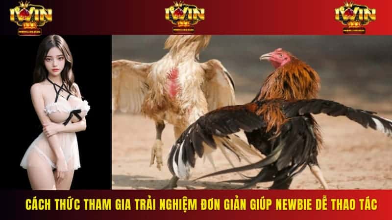 Cách thức tham gia trải nghiệm đơn giản giúp newbie dễ thao tác