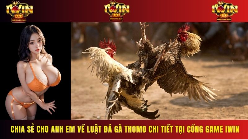 Chia sẻ cho anh em về luật đá gà Thomo chi tiết tại cổng game IWIN