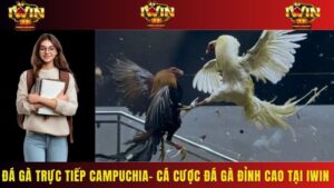 Đá Gà Trực Tiếp Campuchia- Cá Cược Đá Gà Đỉnh Cao Tại Iwin