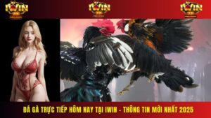 Đá Gà Trực Tiếp Hôm Nay Tại IWIN – Thông Tin Mới Nhất 2025