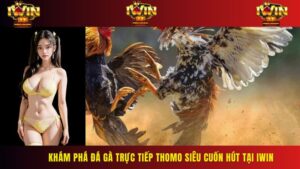 Khám Phá Đá Gà Trực Tiếp Thomo Siêu Cuốn Hút Tại IWIN