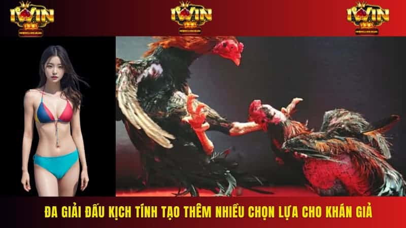 Đa giải đấu kịch tính tạo thêm nhiều chọn lựa cho khán giả