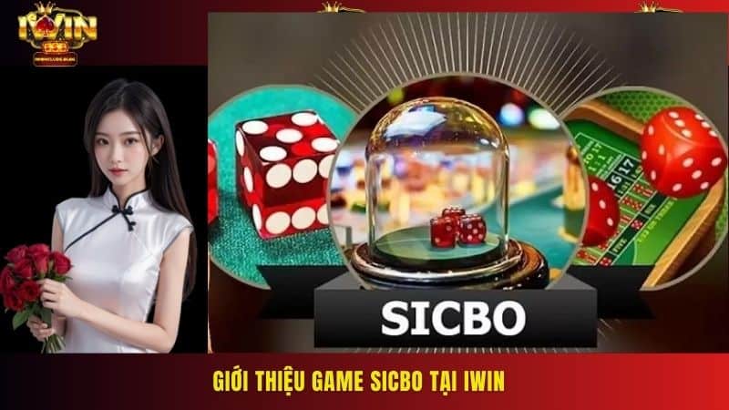 Giới thiệu game Sicbo tại IWIN