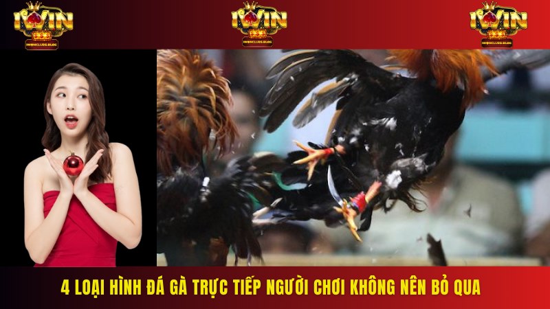 Kết liễu đối thủ nhanh chóng nhờ vào sức mạnh của cựa sắt
