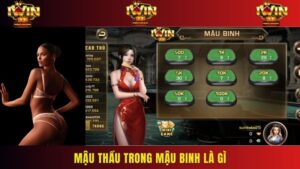 Cách Nhận Biết Mậu Thầu Trong Mậu Binh Là Gì Cho Tân Thủ