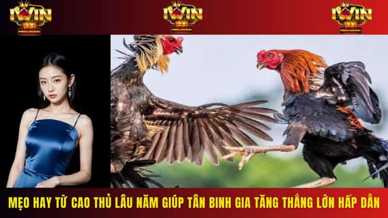 Mẹo hay từ cao thủ lâu năm giúp tân binh gia tăng thắng lớn hấp dẫn
