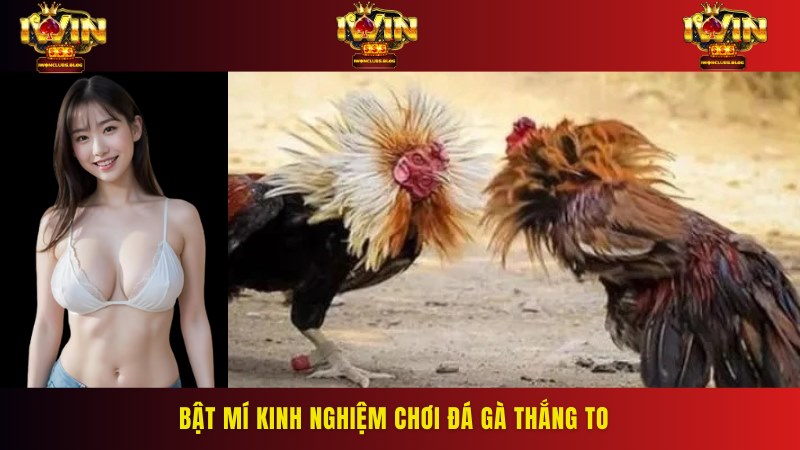 Một số tuyệt chiêu bất bại thắng chắc dành cho người mới