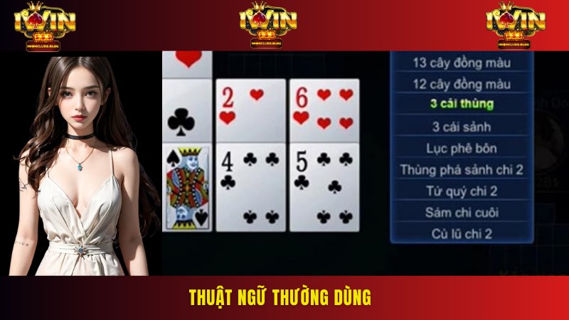 Một vài thuật ngữ phản ánh cách sắp xếp bài cũng như chiến thuật