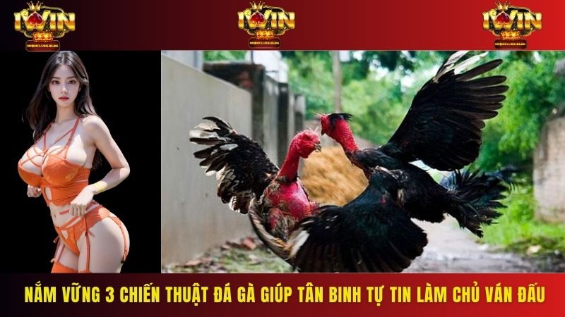 Nắm vững 3 chiến thuật đá gà giúp tân binh tự tin làm chủ ván đấu