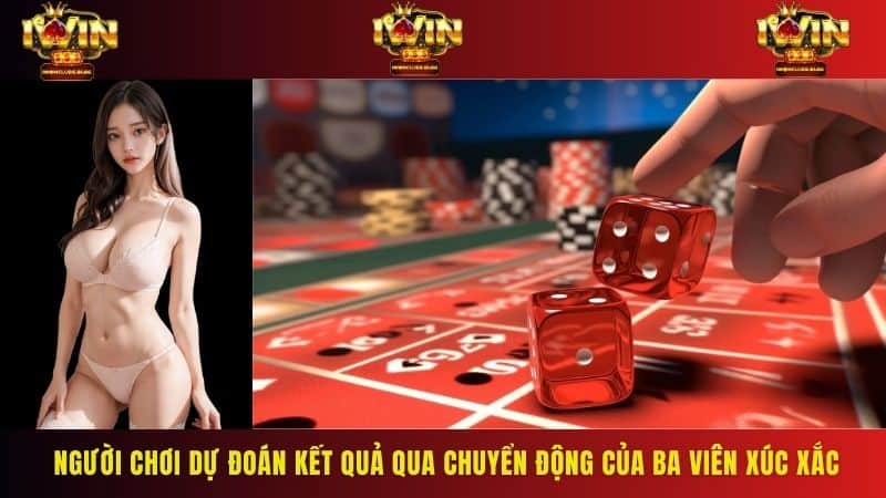 Người chơi dự đoán kết quả qua chuyển động của ba viên xúc xắc
