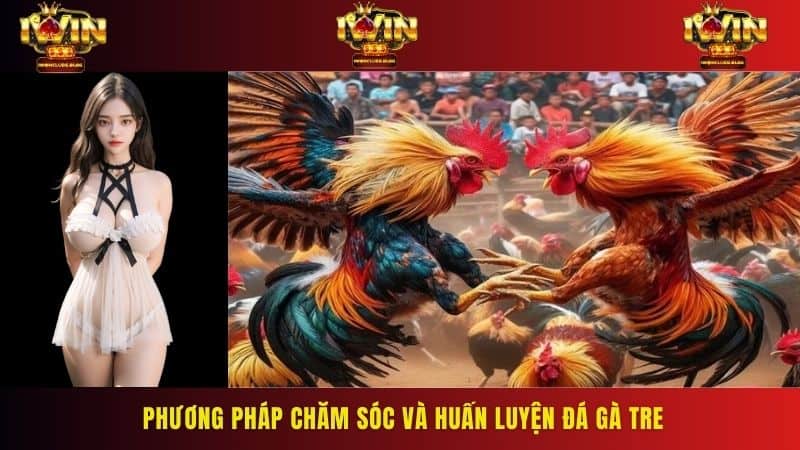 Nổi bật với những trận đấu nhanh chóng và gay cấn