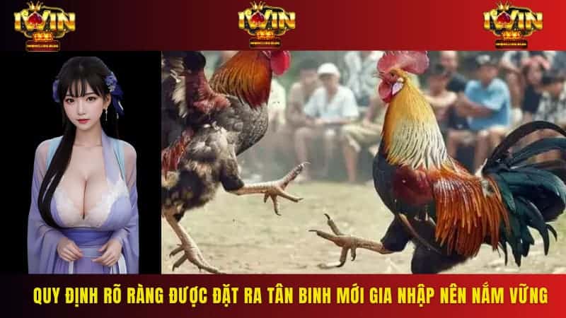 Quy định rõ ràng được đặt ra tân binh mới gia nhập nên nắm vững