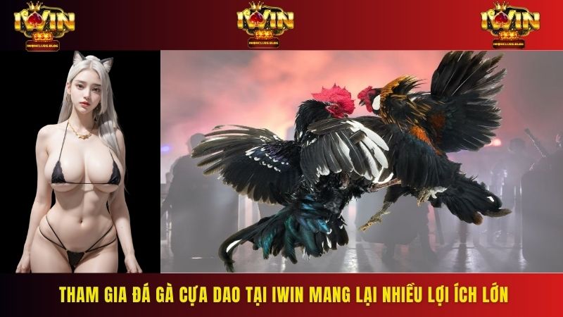 Tham gia đá gà cựa dao tại IWIN mang lại nhiều lợi ích lớn cho game thủ