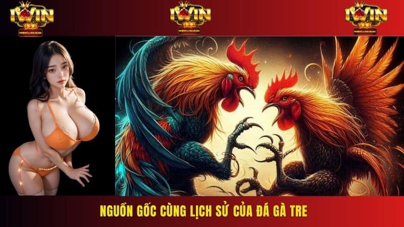 Tổng quan về đá gà tre tại IWIN